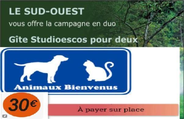 Gites Studioescos El Dos Екстериор снимка